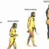 Хто такий Homo habilis?