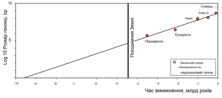 Життю насправді 10 тисяч років?