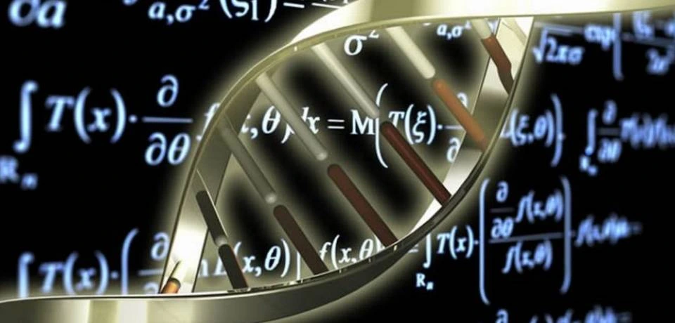 Як взаємопов'язані біологія та математика