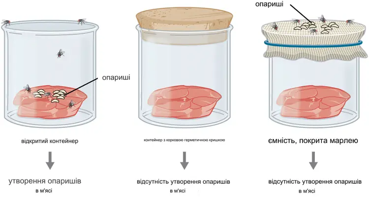 Логіка виникнення спонтанного життя - Час Науки