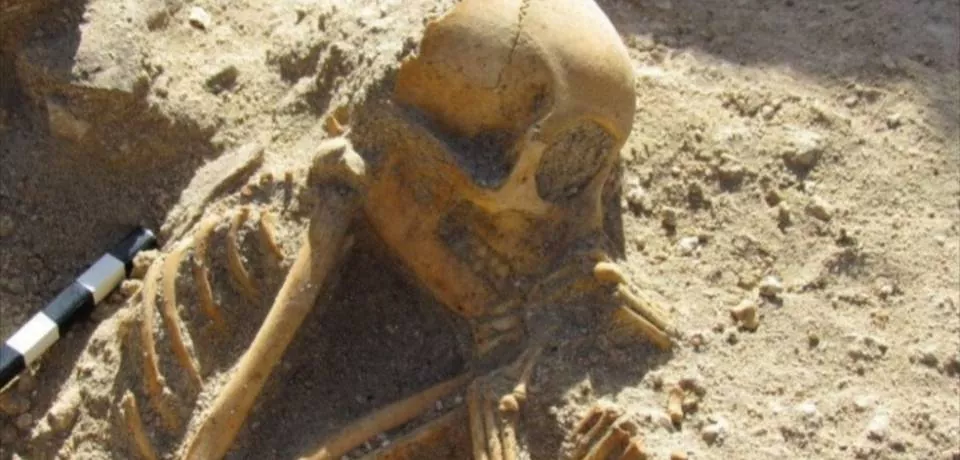 Кладовище макак Кладовище макак