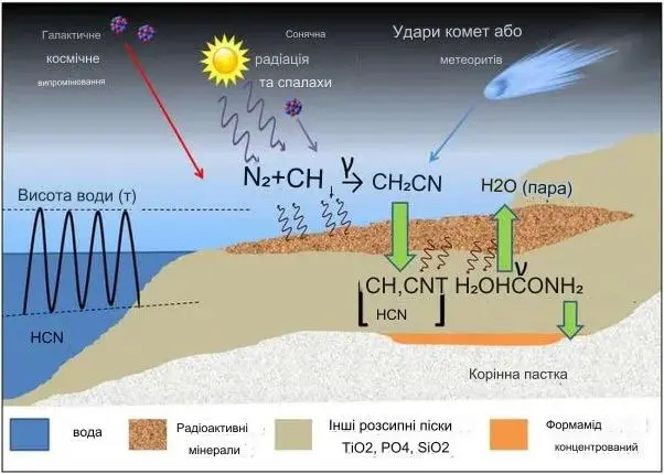 Деякі компоненти, необхідні для виникнення життя