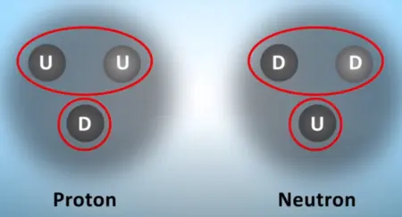 Чим відрізняється протон та нейтрон?