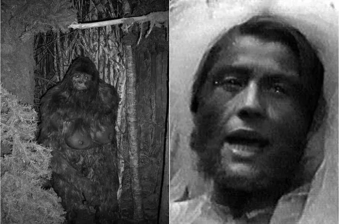 Зана з Абхазії. Схоже на інший антропологічний тип або відлуння минулого Зана з Абхазії. Схоже на інший антропологічний тип або відлуння минулого