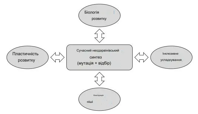 Сучасний неодарвіністський синтез