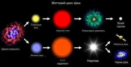 Приблизно так виглядає життєвий цикл зорі